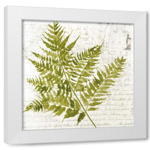 Fern I White Modern Wood Framed Art Print by Jensen, Asia