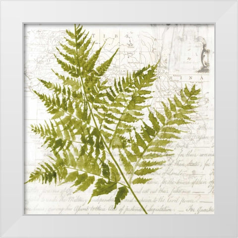 Fern I White Modern Wood Framed Art Print by Jensen, Asia