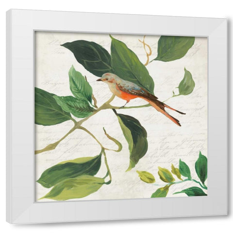 Singing Bird I White Modern Wood Framed Art Print by Jensen, Asia