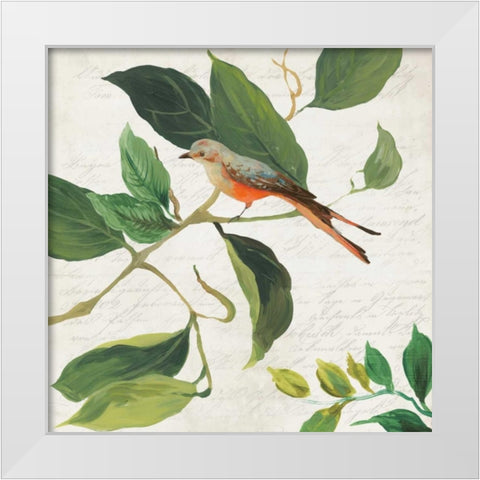 Singing Bird I White Modern Wood Framed Art Print by Jensen, Asia