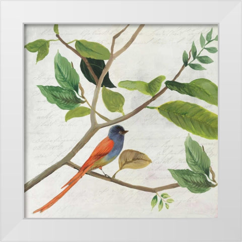 Singing Bird II White Modern Wood Framed Art Print by Jensen, Asia