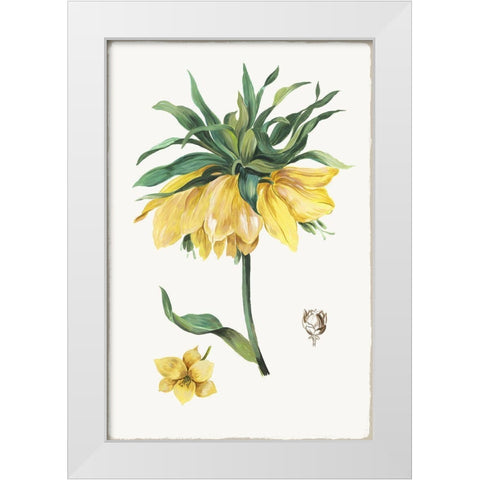 New Botana I  White Modern Wood Framed Art Print by Jensen, Asia