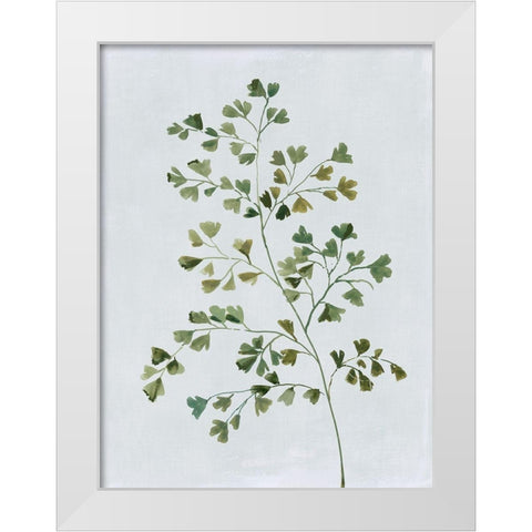 Green Fern II  White Modern Wood Framed Art Print by Jensen, Asia