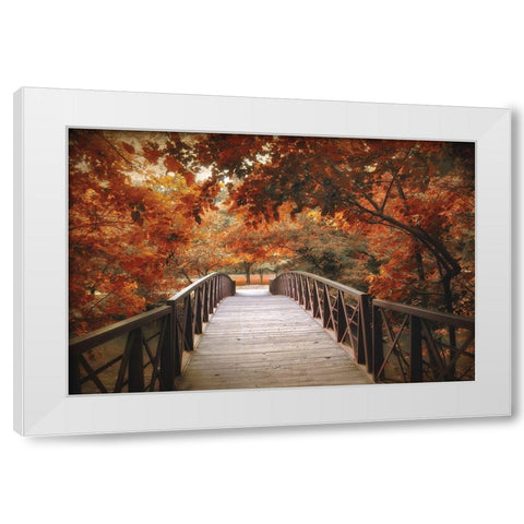 Footbridge White Modern Wood Framed Art Print by Jenney, Jessica