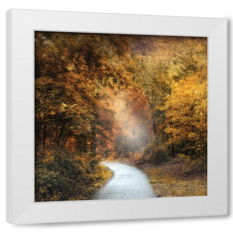 October Trail White Modern Wood Framed Art Print by Jenney, Jessica