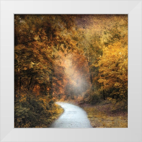 October Trail White Modern Wood Framed Art Print by Jenney, Jessica