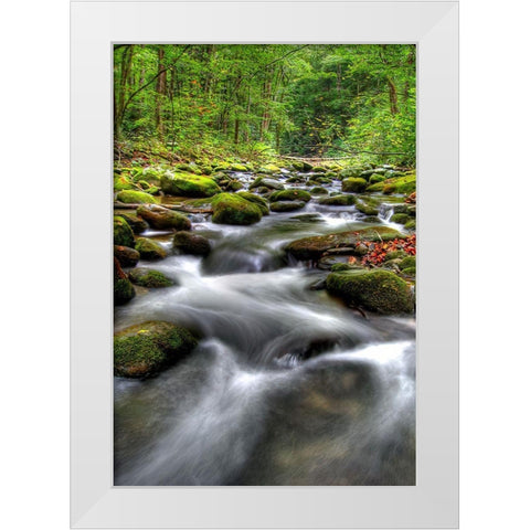 Smoky Mountain Tranquility White Modern Wood Framed Art Print by West, James