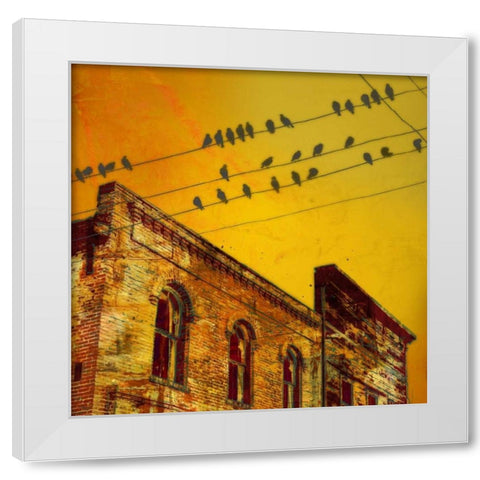 Birds on a Wire I White Modern Wood Framed Art Print by McMasters, James