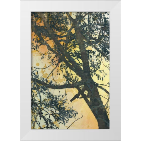Bubbly Branches  White Modern Wood Framed Art Print by McMasters, James