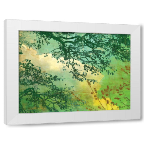 Branches and Clouds White Modern Wood Framed Art Print by McMasters, James