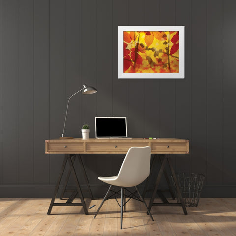 Golden Foliage White Modern Wood Framed Art Print by McMasters, James