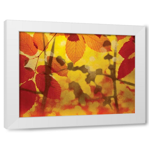 Golden Foliage White Modern Wood Framed Art Print by McMasters, James