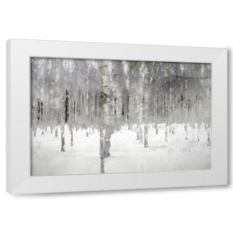 Birches In Fog White Modern Wood Framed Art Print by Curinga, Kim