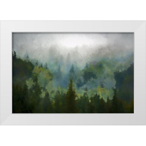 Misty WoodsÂ  White Modern Wood Framed Art Print by Curinga, Kim