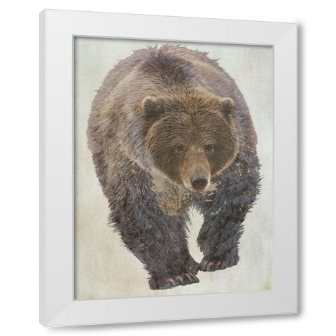 Brown Bear Walking White Modern Wood Framed Art Print by Curinga, Kim