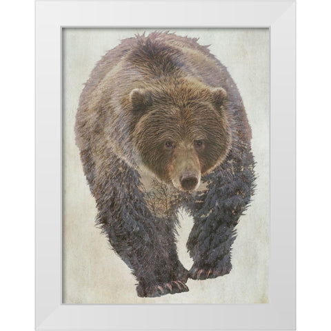 Brown Bear Walking White Modern Wood Framed Art Print by Curinga, Kim