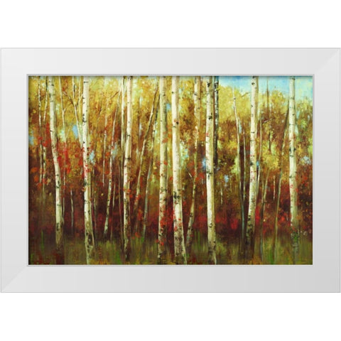 Birch Forest White Modern Wood Framed Art Print by K., Ella