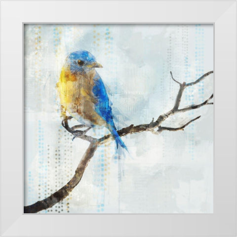 Little Blue Bird I  White Modern Wood Framed Art Print by Roko, Ken