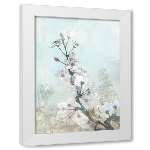 Climbing Cherry Blossoms I  White Modern Wood Framed Art Print by Roko, Ken