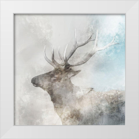 Stag Gaze I White Modern Wood Framed Art Print by Roko, Ken