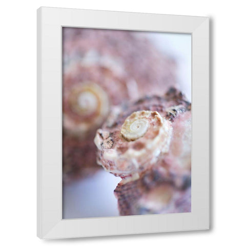 Purple Conch I White Modern Wood Framed Art Print by Millet, Karyn