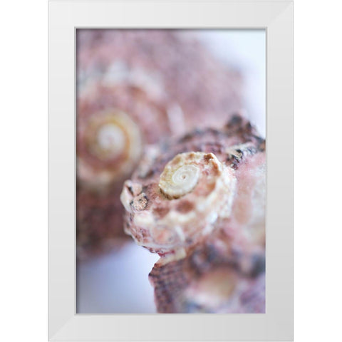 Purple Conch I White Modern Wood Framed Art Print by Millet, Karyn