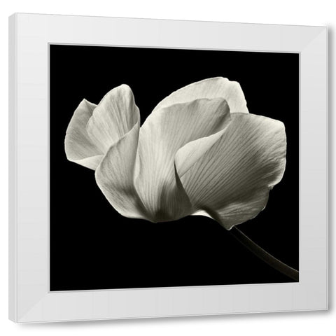 Numen White Modern Wood Framed Art Print by Le Blanc, Dawn