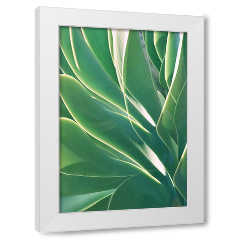 Botanical Light Play White Modern Wood Framed Art Print by Robertson, Leda