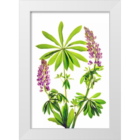 Greet the Day White Modern Wood Framed Art Print by Robertson, Leda