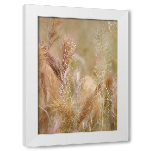 Dreamy Summer I  White Modern Wood Framed Art Print by Robertson, Leda