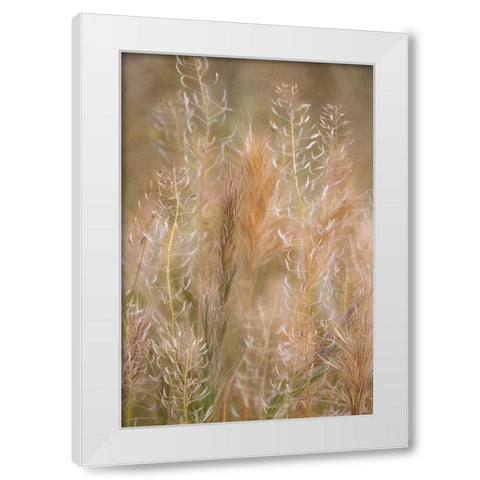 Dreamy Summer II White Modern Wood Framed Art Print by Robertson, Leda