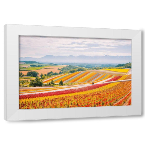 Flowers in Hokkaido II  White Modern Wood Framed Art Print by Lefer, Clement