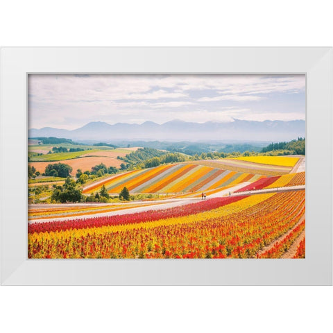 Flowers in Hokkaido II  White Modern Wood Framed Art Print by Lefer, Clement