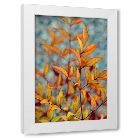 The Fire Within White Modern Wood Framed Art Print by Agrypolous, Lisa