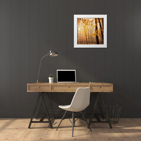 Autumn Blush White Modern Wood Framed Art Print by Lehnhardt, Iris