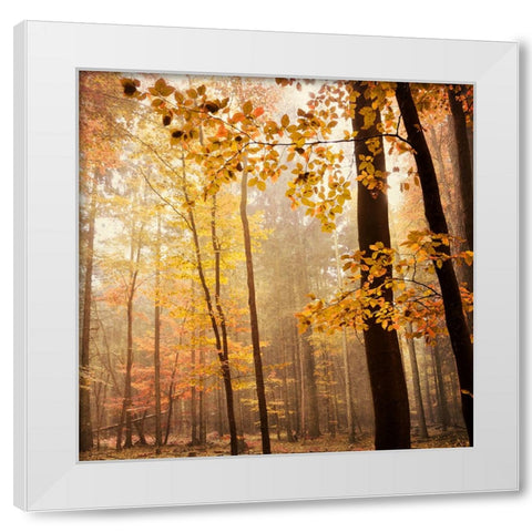 Autumn Blush White Modern Wood Framed Art Print by Lehnhardt, Iris