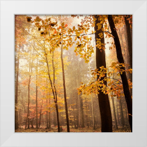 Autumn Blush White Modern Wood Framed Art Print by Lehnhardt, Iris