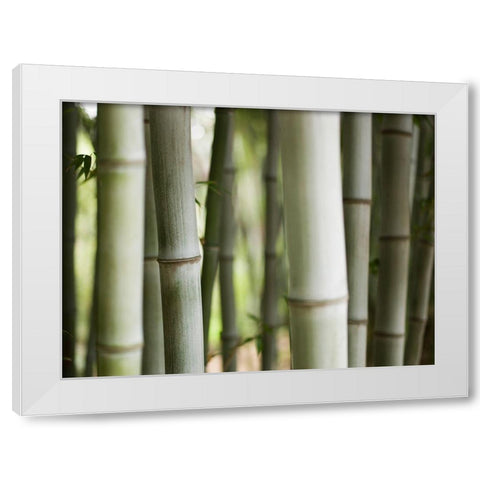 Huntington II White Modern Wood Framed Art Print by Mourier, Lily