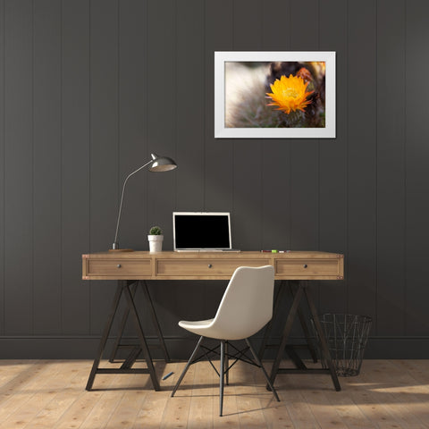 Wild Flowers I White Modern Wood Framed Art Print by Mourier, Lily