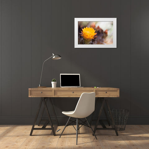Wild Flowers II White Modern Wood Framed Art Print by Mourier, Lily