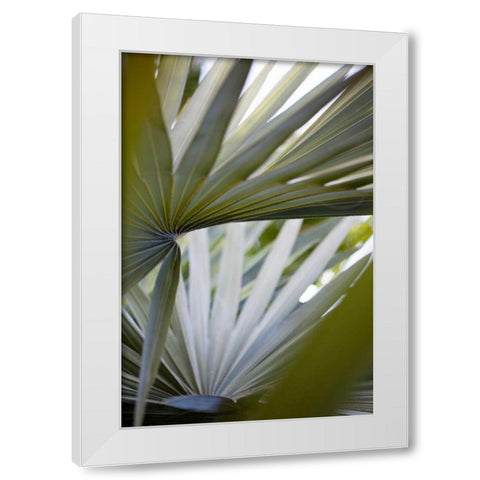 Transcending I White Modern Wood Framed Art Print by Mourier, Lily