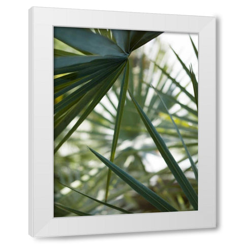 Transcending II White Modern Wood Framed Art Print by Mourier, Lily