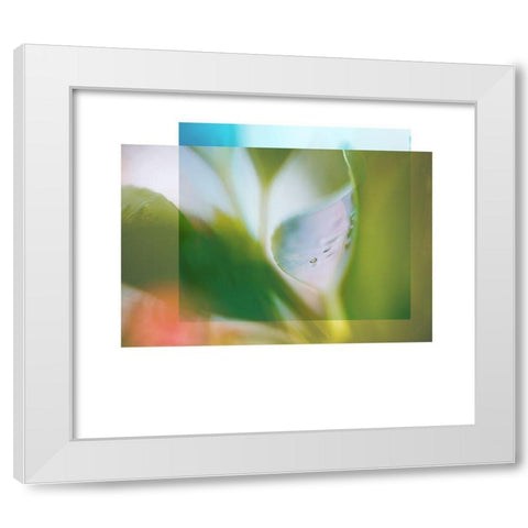 Leaf Overlap White Modern Wood Framed Art Print by Delva, Florence