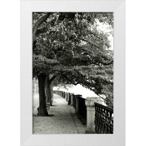 Park at Dusk II White Modern Wood Framed Art Print by Denardo, Laura