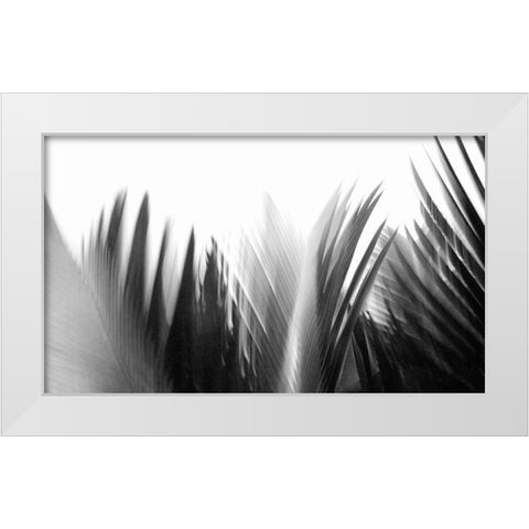 In the Green I - B-W  White Modern Wood Framed Art Print by Weisbeck, Lena