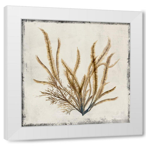 Yellow Coral I  White Modern Wood Framed Art Print by Lily K