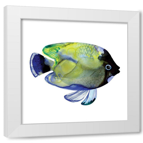 Green Fish White Modern Wood Framed Art Print by Berg, Margaret
