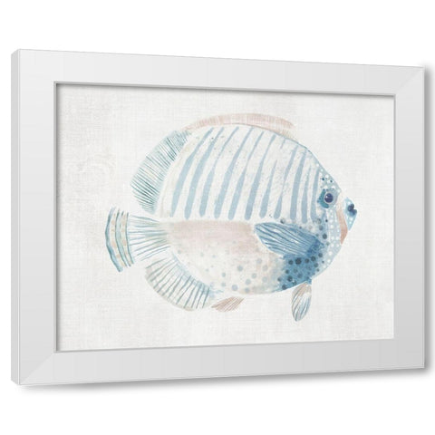 Sergeant Major Fish  White Modern Wood Framed Art Print by Woods, Maya