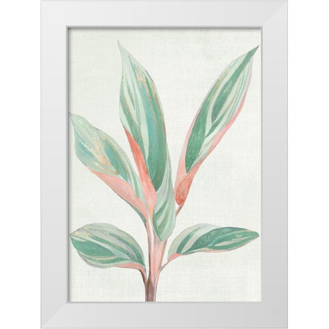 Ginger Plant I White Modern Wood Framed Art Print by Woods, Maya