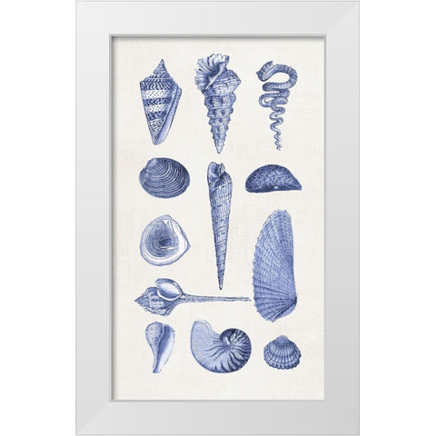 Blue Shells I White Modern Wood Framed Art Print by Haase, Andrea